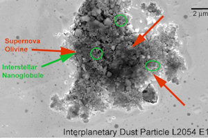 Interplanetary dust particles showing pre-solar silicate grains, organic matter