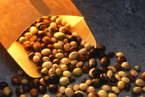 Chemical in soya beans could treat disease
