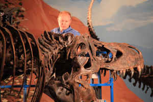 Dr Manning with a T. rex skeleton in a Utah museum