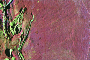 Pigments from ancient fossils are on show at the Exhibition