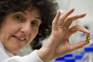 Professor Clare Mills is heading the world's biggest study of food allergy