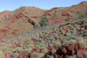Ancient air trapped in well-preserved rocks in Australia. Pic: Pascal Philippot