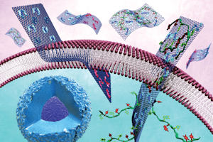 Graphene shows potential as novel anti-cancer therapeutic strategy Graphene oxide flakes interacting with cell membranes: K. Novoselov