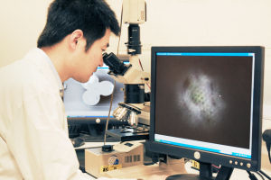 Research Associate Dr Wei Guo using the microscope 