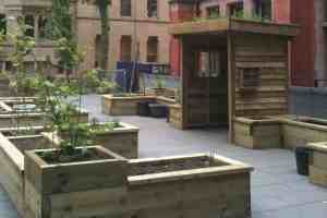 The Manchester Museum allotment