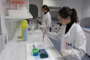 Researchers in the new labs analysing samples for uranium and iron