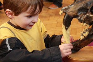 Getting up close and personal to dinosaurs at last year's event