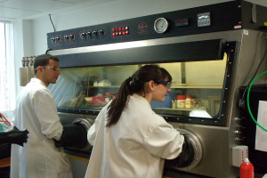 Research using a glove box in a Radiochemistry Laboratory