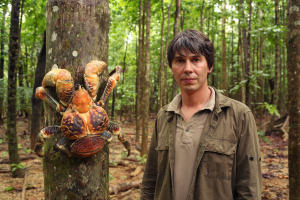 Brian Cox with robber crab