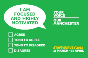 Staff Survey - Focussed