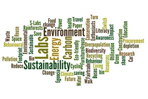 Environmental Sustainability Survey