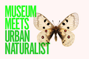 urban naturalist museum meets