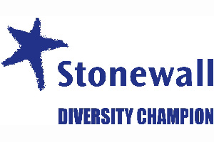 Stonewall Diversity Champion logo