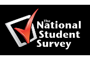 NSS 2013 logo