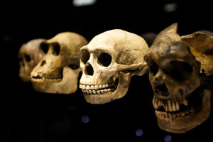 skulls in living worlds 