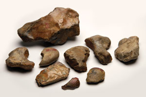 rocks from collection 