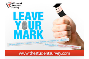 NSS 2014 - Leave Your Mark