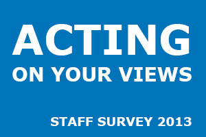 Staff Survey 2013