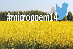 Micropoem
