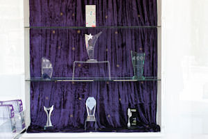 Trophy cabinet