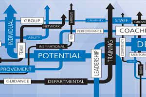 Middle Managers Network and Development