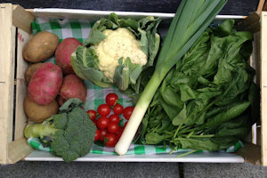 veg box