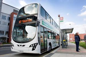 147 bus