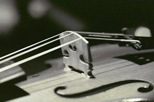 Violin strings