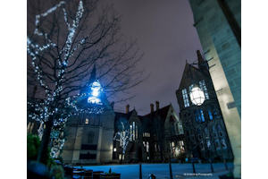 Christmas lights in The Quad