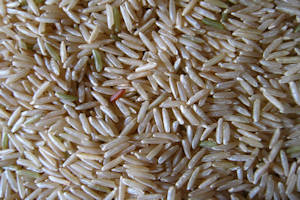 Rice