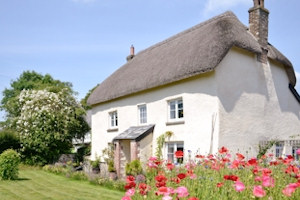 Image of cottage in sunshine 