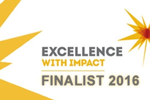 Excellence with impact logo 