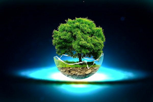 Image of a tree breaking out of a glass globe 