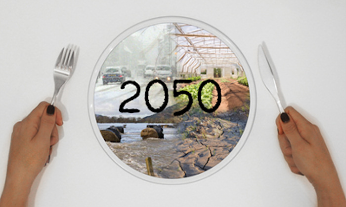 2050 Kitchen
