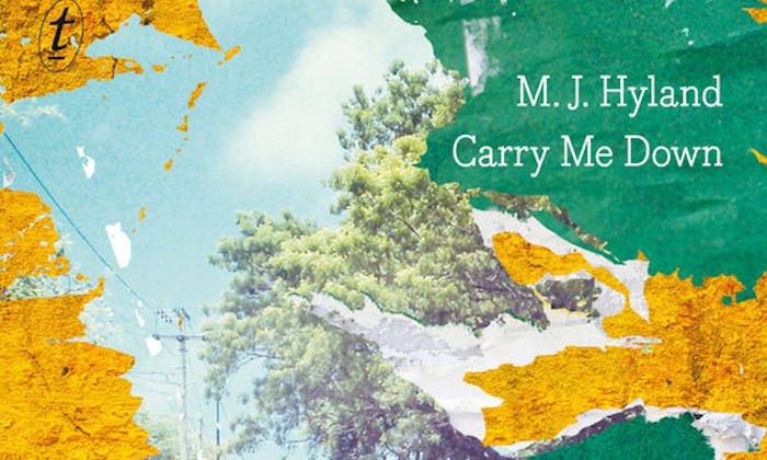Carry Me Down - detail from book cover