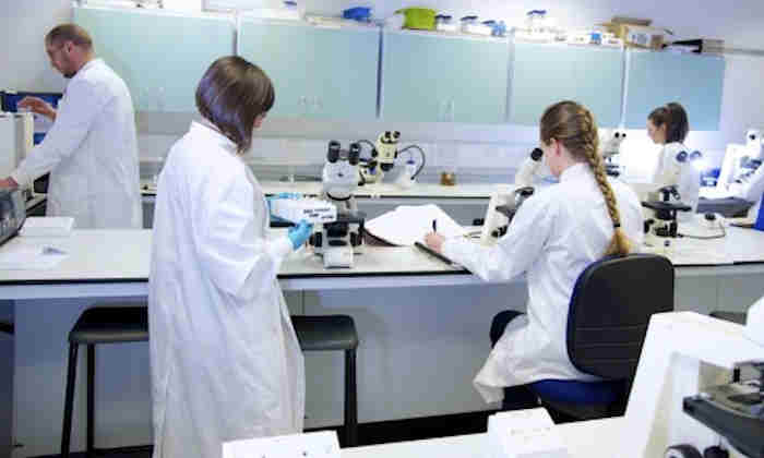 Researchers in the lab