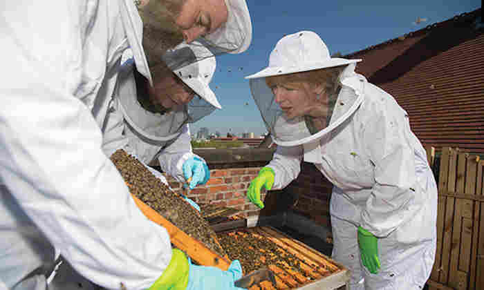 University beekeepers