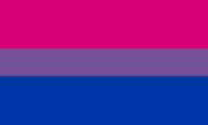 Bisex flag