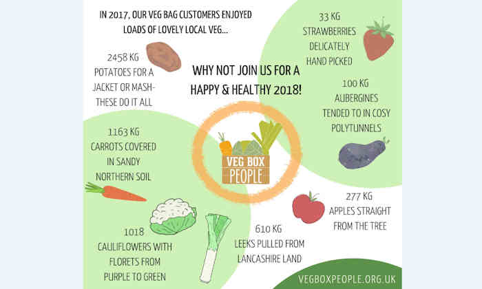 Veg Box infographic