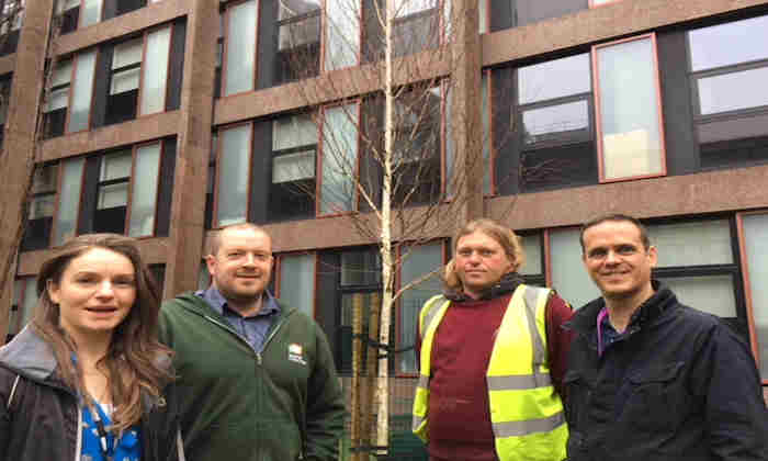 Campus tree planting