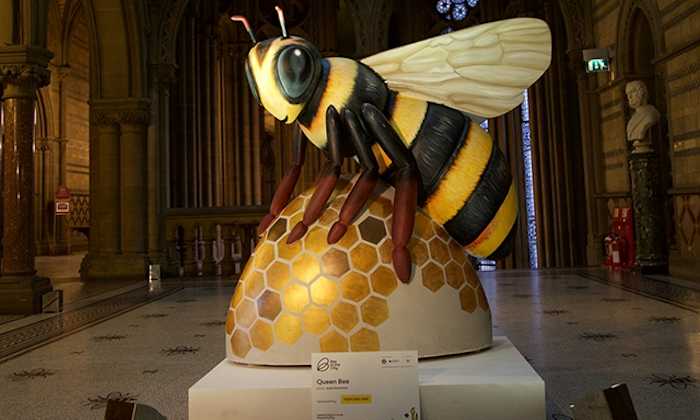Image from Bee in the City