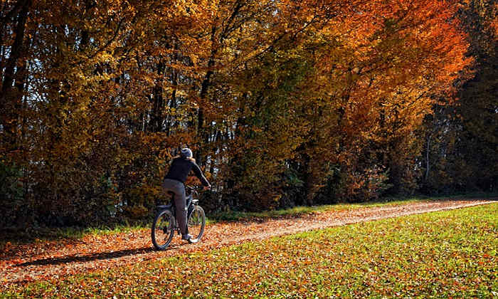 Autumn cycling