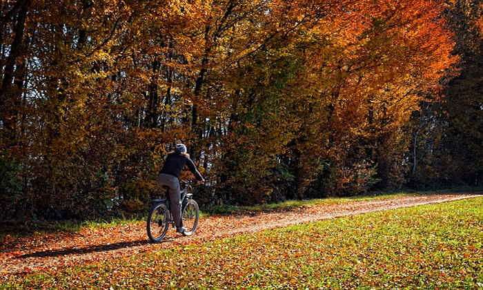 busy bees cycle to work scheme