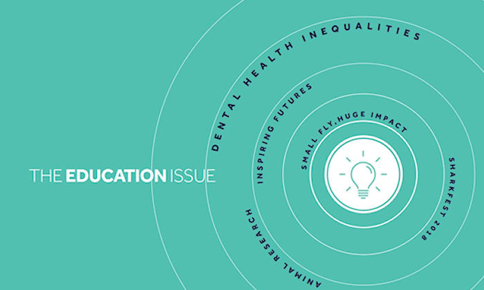 the education issue