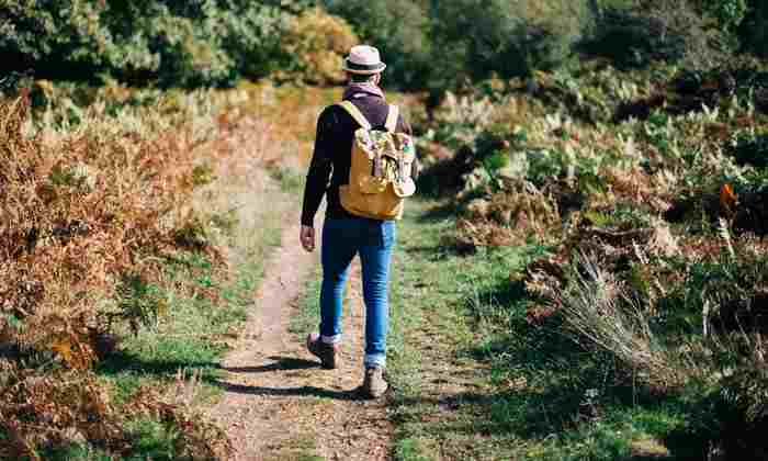 Man walking in woods