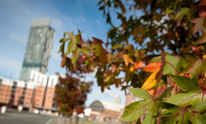 A greener Greater Manchester