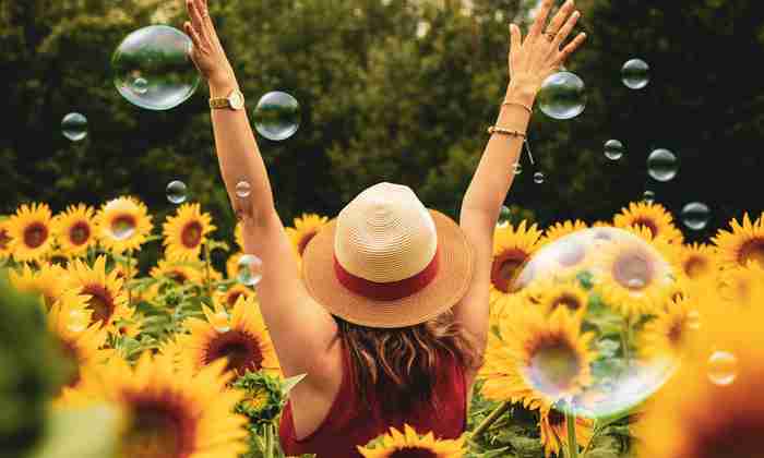 Happy sunflowers