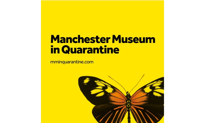 Museum in Quarantine