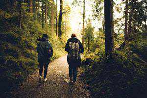 two walkers in woodland