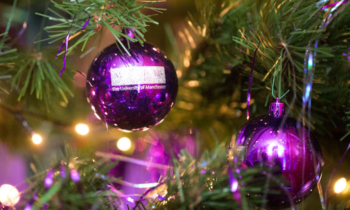 purple baubles on a Christmas tree